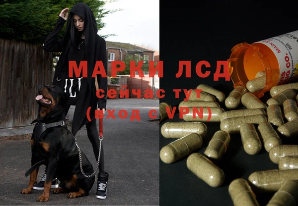 экстази Арсеньев